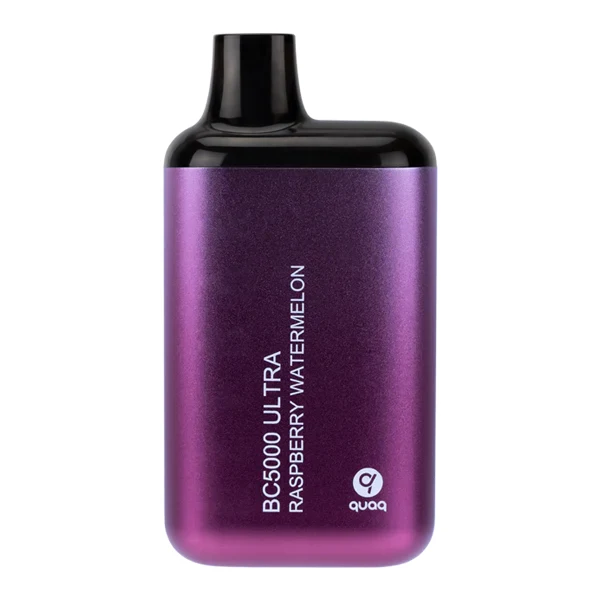modern blueberry disposable vape device with sleek design