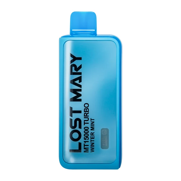 mint flavored vapes Winter Mint Lost Mary MT15000 Turbo